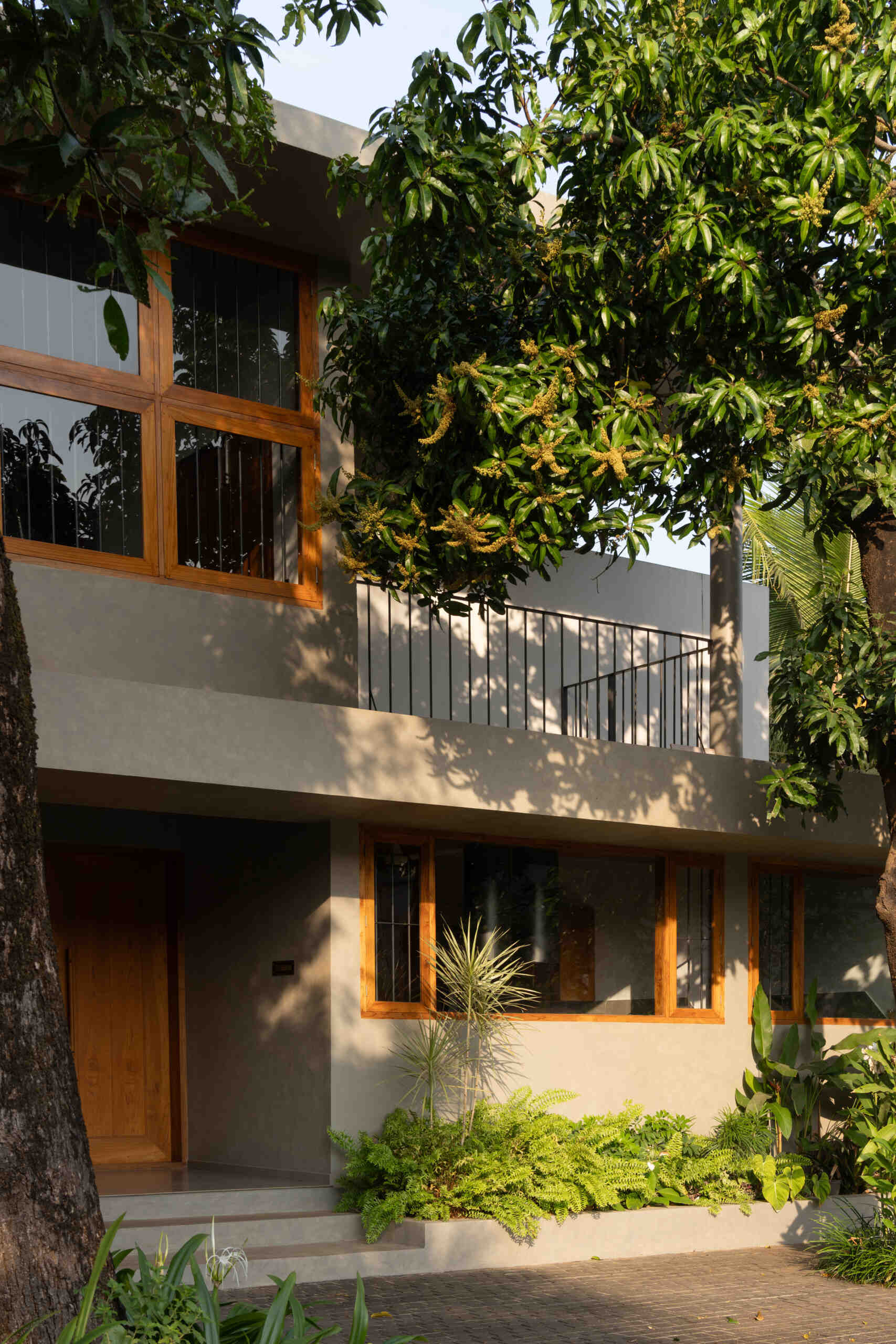 This contemporary house in Kerala features a minimalist façade, teak wood windows, shaded balconies, and two mature mango trees that provide natural privacy.