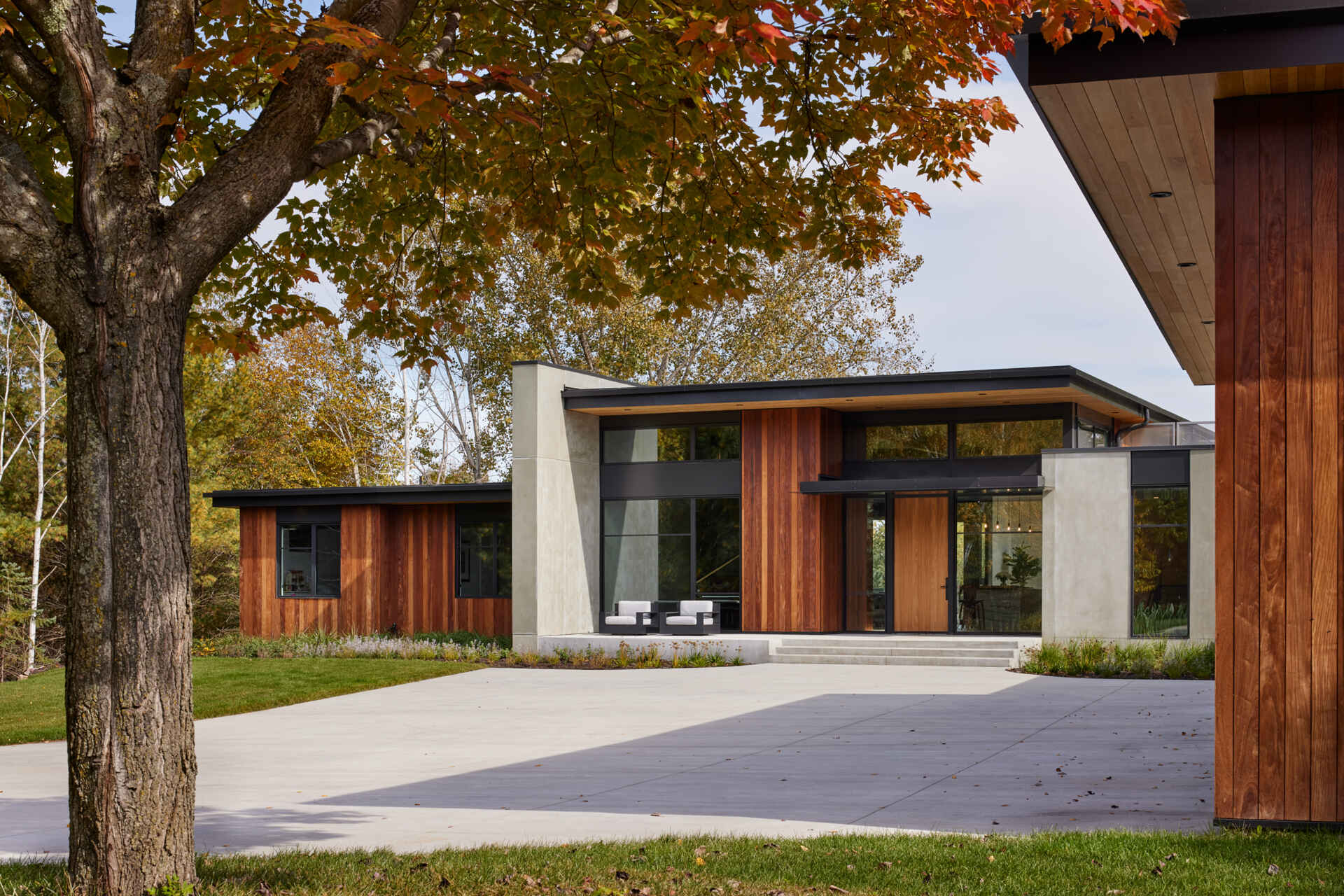 The front entrance of a contemporary house combines vertical wood siding, concrete walls, large windows, and a wide roof overhang. A mature tree frames the entrance courtyard.