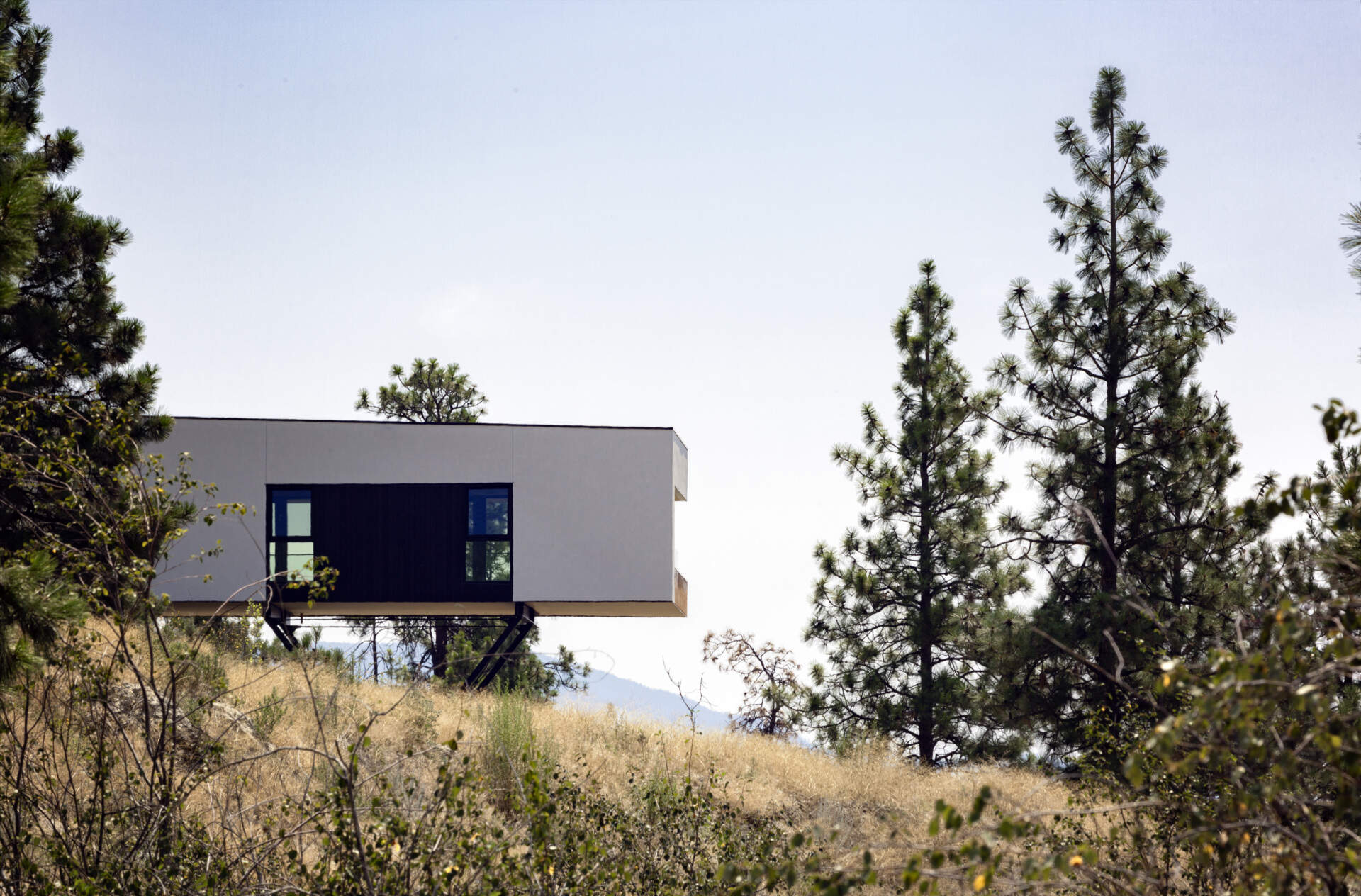 A modern white house projects above a grassy hillside among tall Ponderosa pines. Angled steel supports beneath the elevated structure allow the building to extend over the sloping landscape.