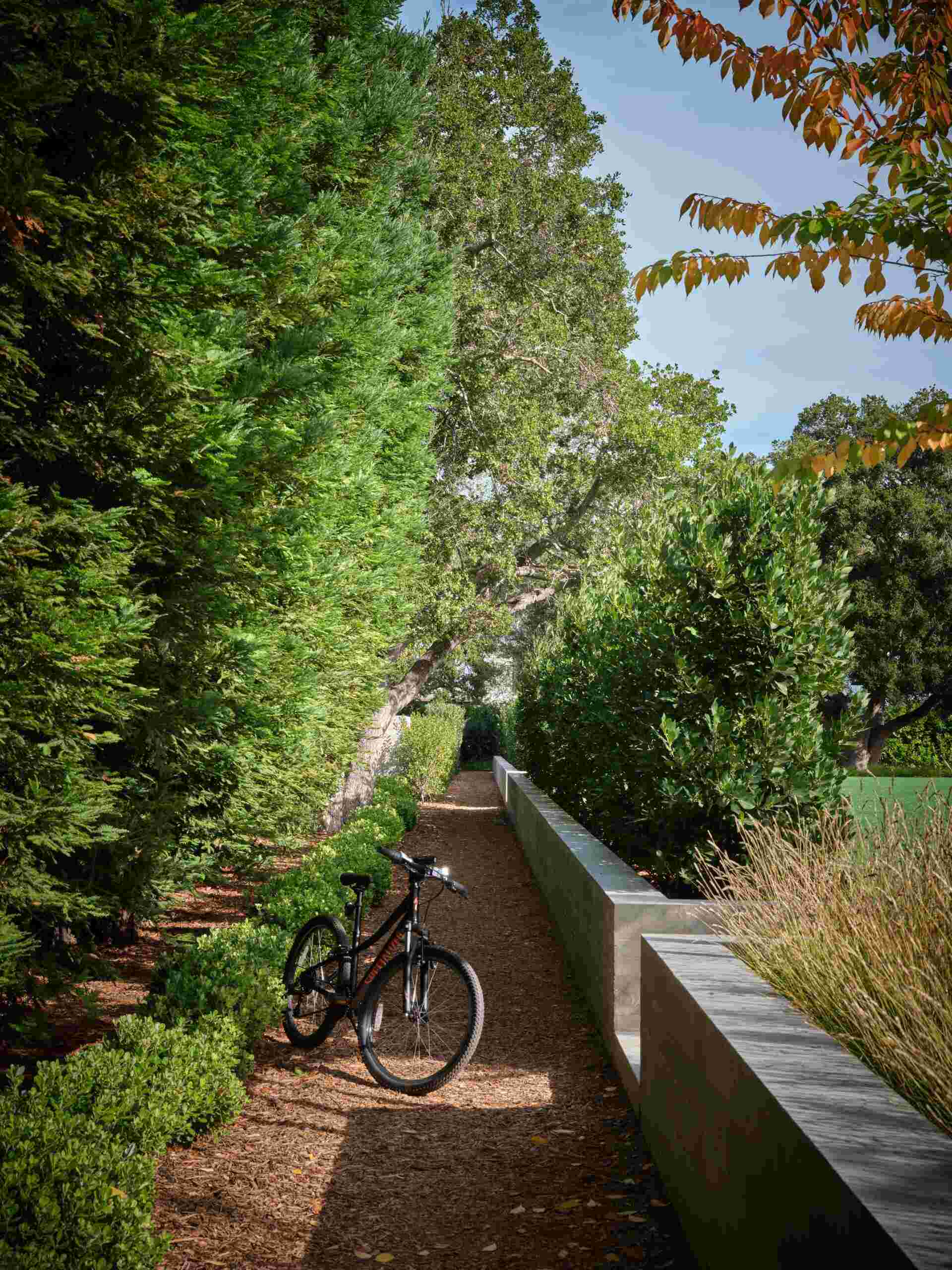 Discover the landscape design of this modern Bay Area home by Andrea Cochran Landscape Architecture. Featuring ornamental grasses, tree-lined gravel pathways, woodland gardens, native planting, and sustainable landscaping ideas across a 3.5-acre California property.