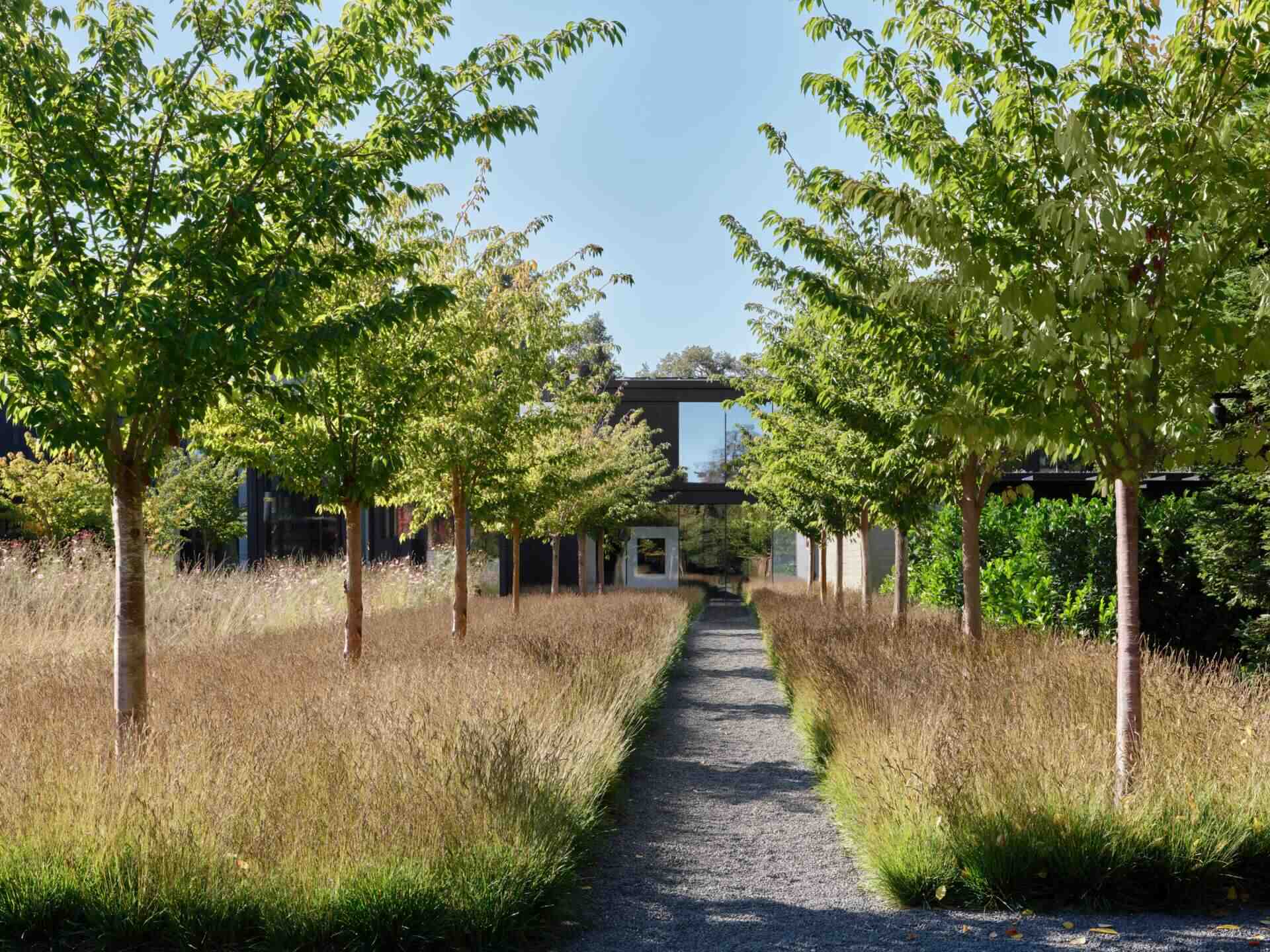 Discover the landscape design of this modern Bay Area home by Andrea Cochran Landscape Architecture. Featuring ornamental grasses, tree-lined gravel pathways, woodland gardens, native planting, and sustainable landscaping ideas across a 3.5-acre California property.