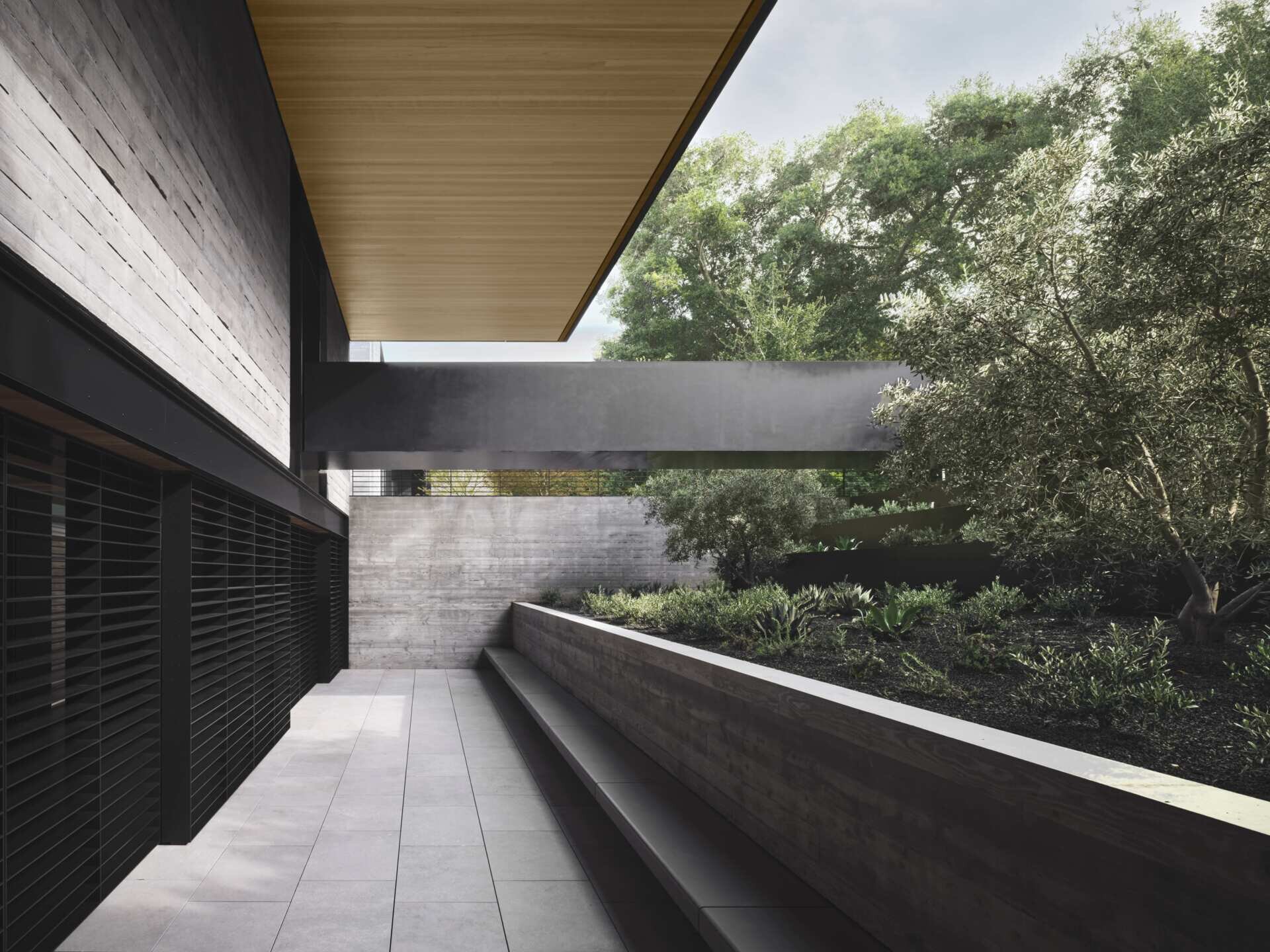 Explore a modern architectural bridge at this Olson Kundig home in California. A bold black steel structure spans a planted garden with board-formed concrete walls, olive trees, built-in seating, and contemporary landscape design.