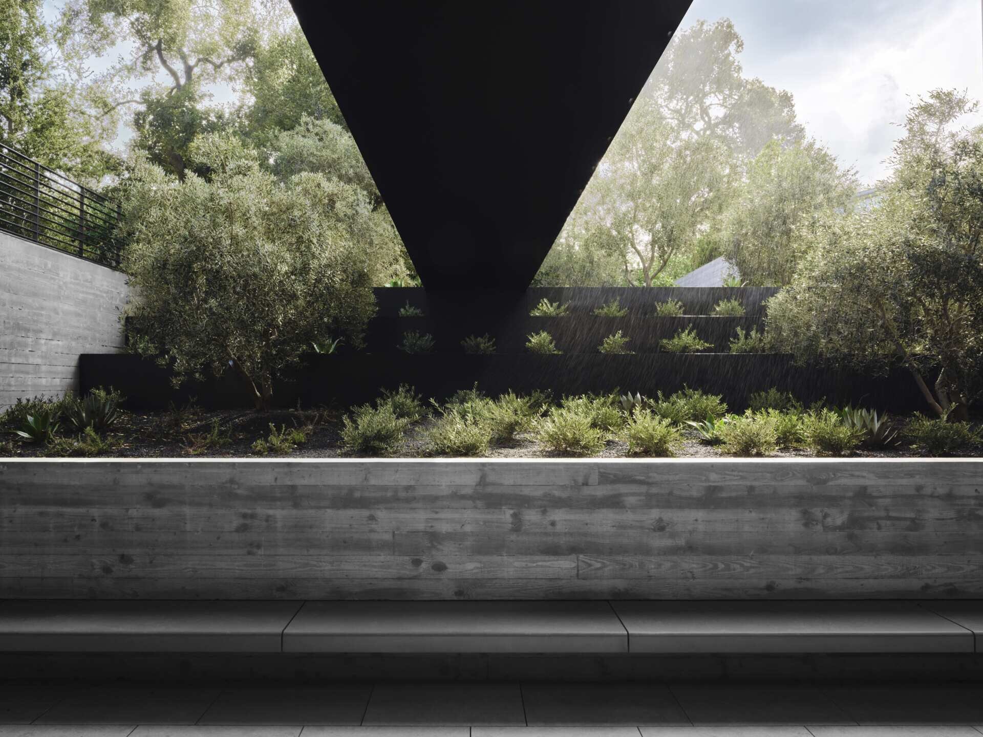 Explore a modern architectural bridge at this Olson Kundig home in California. A bold black steel structure spans a planted garden with board-formed concrete walls, olive trees, built-in seating, and contemporary landscape design.