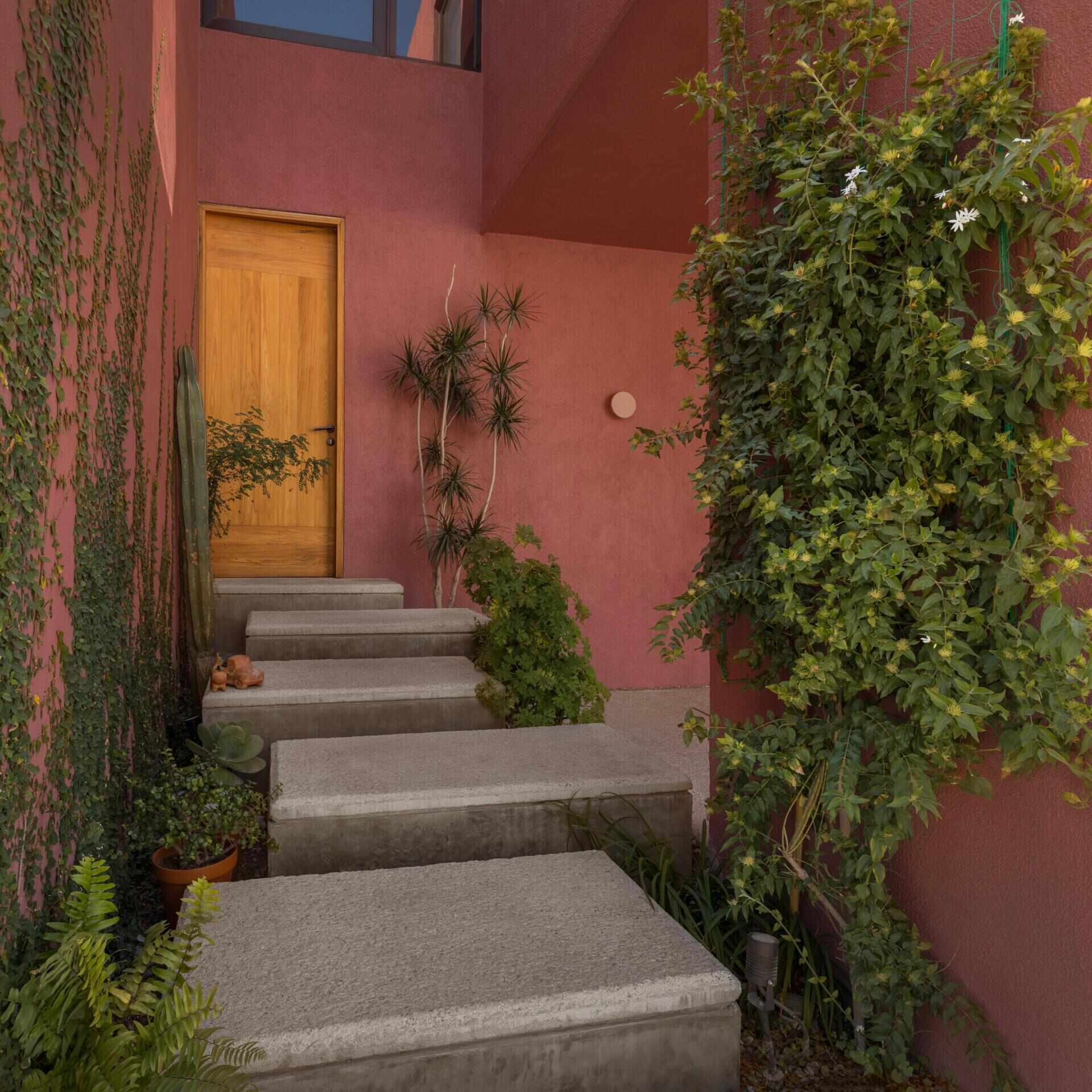 A modern Mexican home features staggered concrete entry steps, pink stucco walls, desert-inspired landscaping, climbing plants, and a natural wood front door.