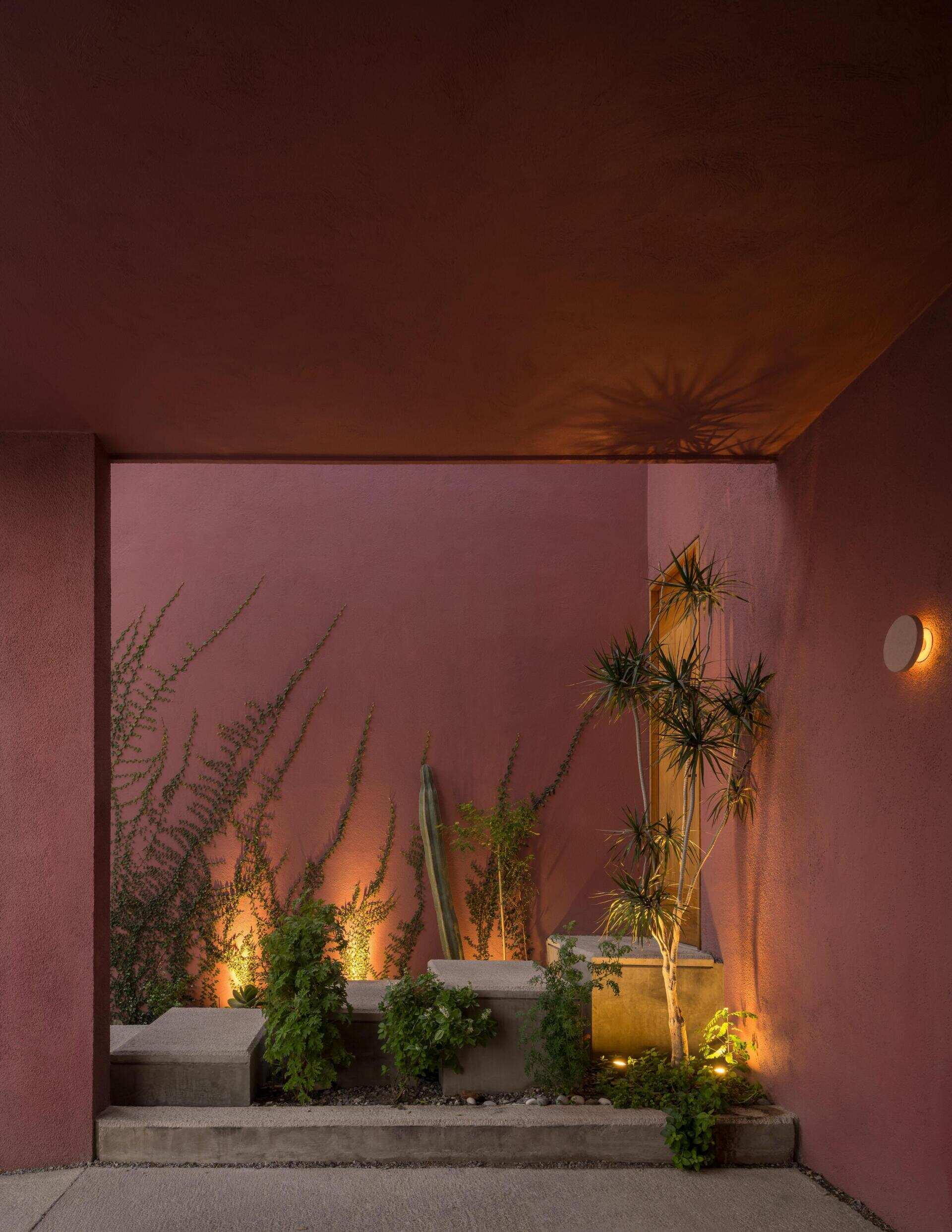 A modern Mexican home features staggered concrete entry steps, pink stucco walls, desert-inspired landscaping, climbing plants, and a natural wood front door.