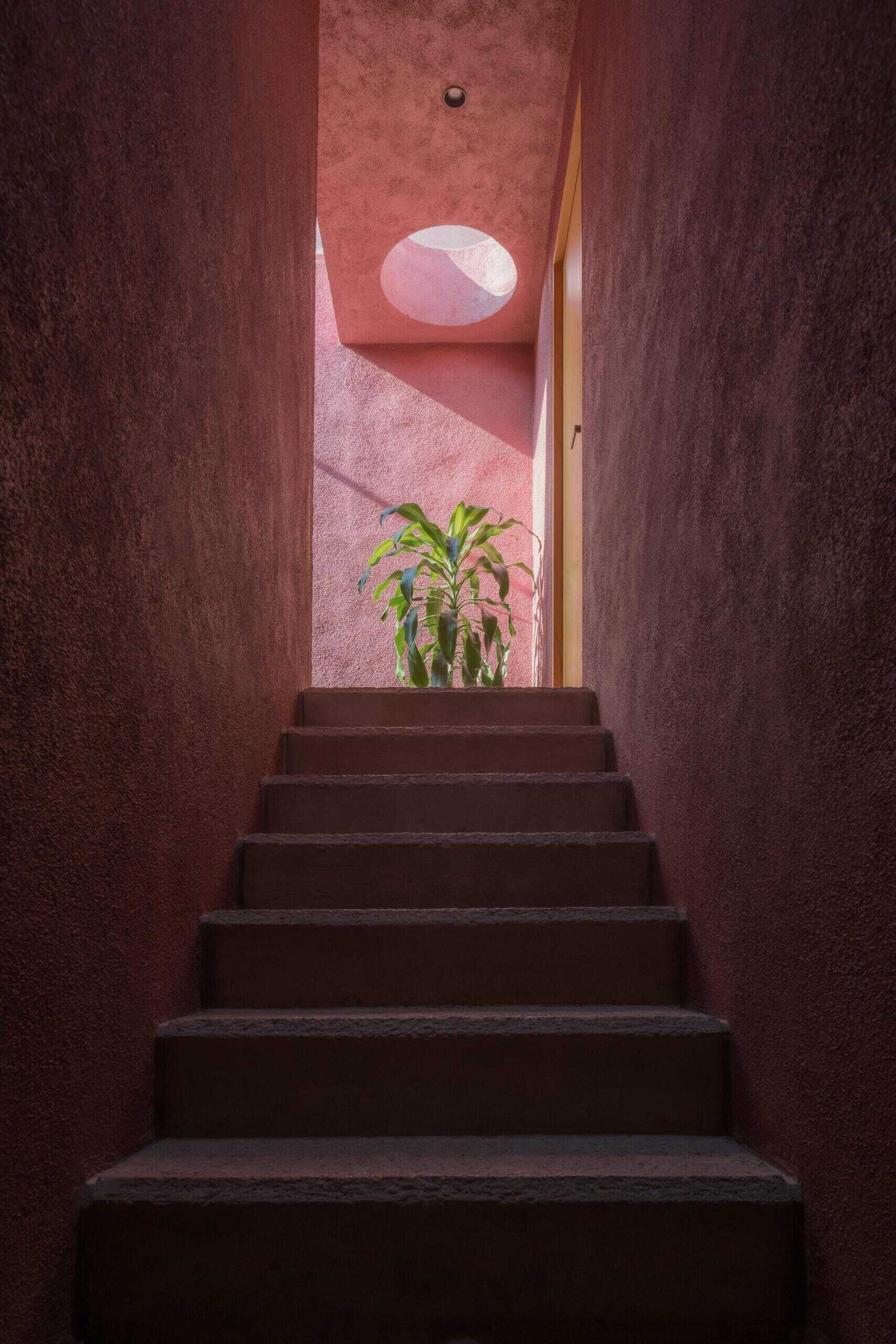 A narrow staircase in a modern pink house features textured walls, dark concrete-like steps, a circular skylight, and dramatic natural light creating geometric shadows.