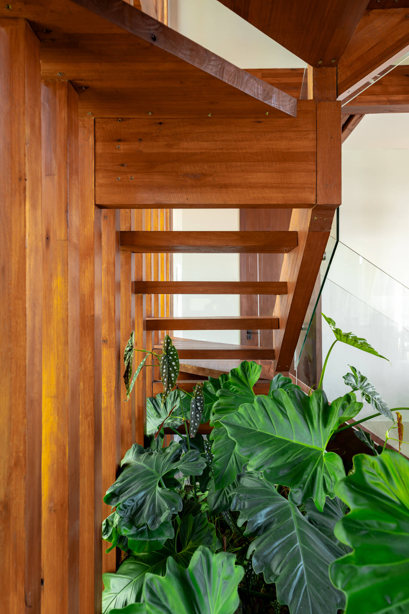 A timber staircase rises through the double-height center of Casa Ponta da Sela, with open treads, glass balustrades and tropical planting tucked beneath the structure to bring greenery into the heart of the home.