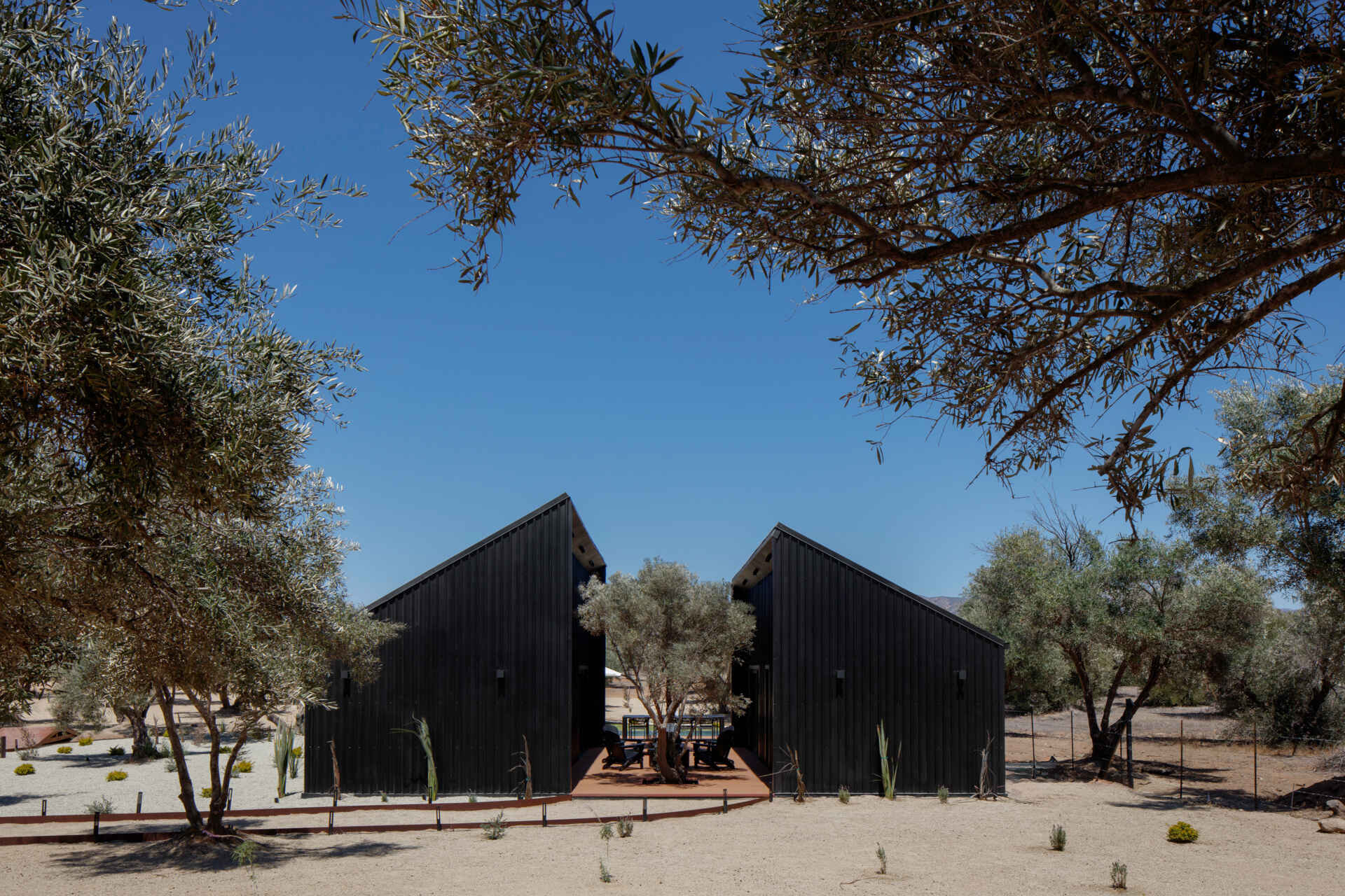Explore the minimalist architecture of Serentha Cabin by ORTO STUDIO in Baja California, Mexico. Dark corrugated metal exteriors, sloping roofs, warm exterior lighting, gravel pathways, and olive trees create a modern rural cabin with an industrial edge.