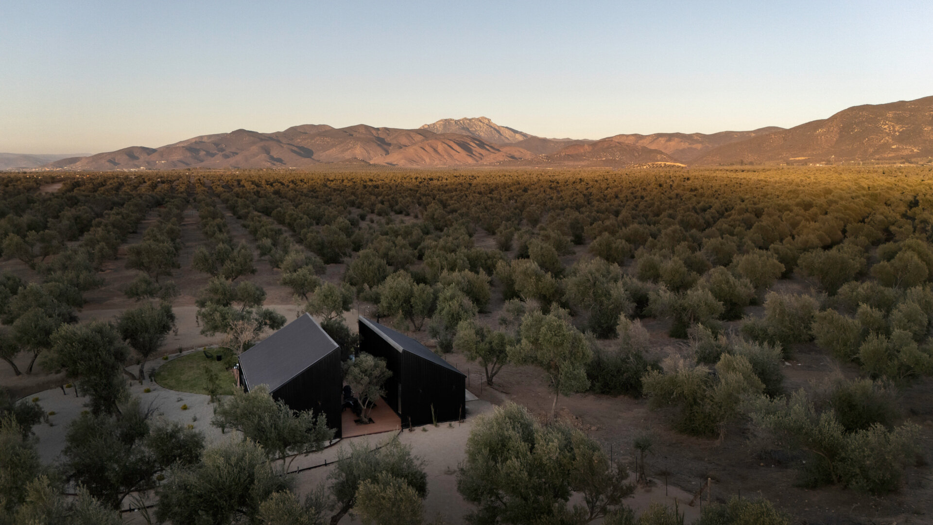 Explore the minimalist architecture of Serentha Cabin by ORTO STUDIO in Baja California, Mexico. Dark corrugated metal exteriors, sloping roofs, warm exterior lighting, gravel pathways, and olive trees create a modern rural cabin with an industrial edge.