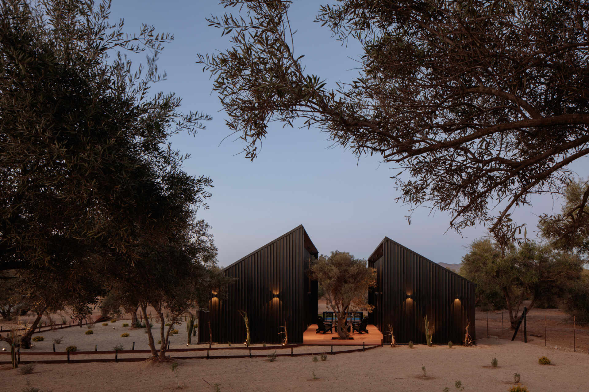 Explore the minimalist architecture of Serentha Cabin by ORTO STUDIO in Baja California, Mexico. Dark corrugated metal exteriors, sloping roofs, warm exterior lighting, gravel pathways, and olive trees create a modern rural cabin with an industrial edge.