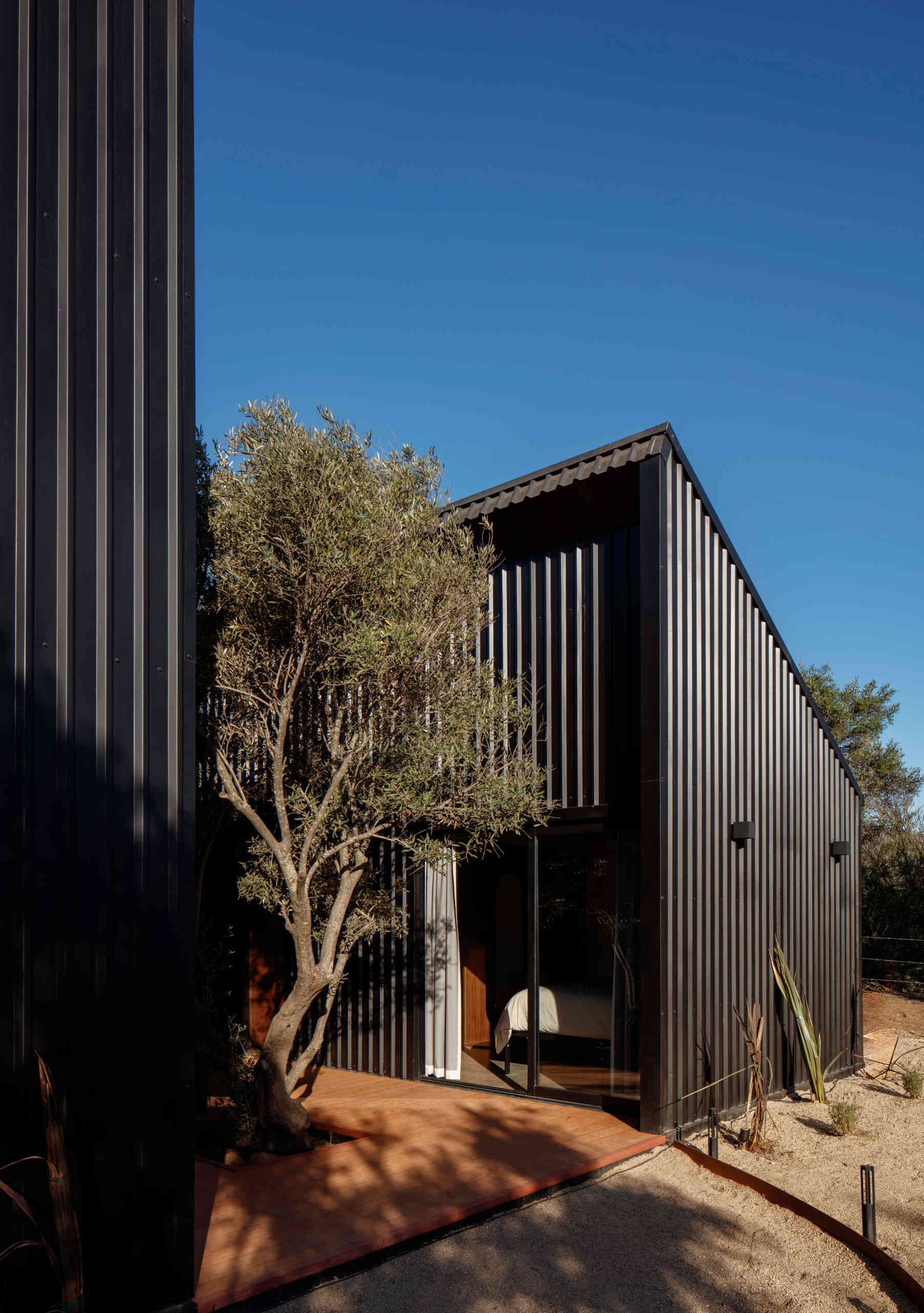 Explore the minimalist architecture of Serentha Cabin by ORTO STUDIO in Baja California, Mexico. Dark corrugated metal exteriors, sloping roofs, warm exterior lighting, gravel pathways, and olive trees create a modern rural cabin with an industrial edge.