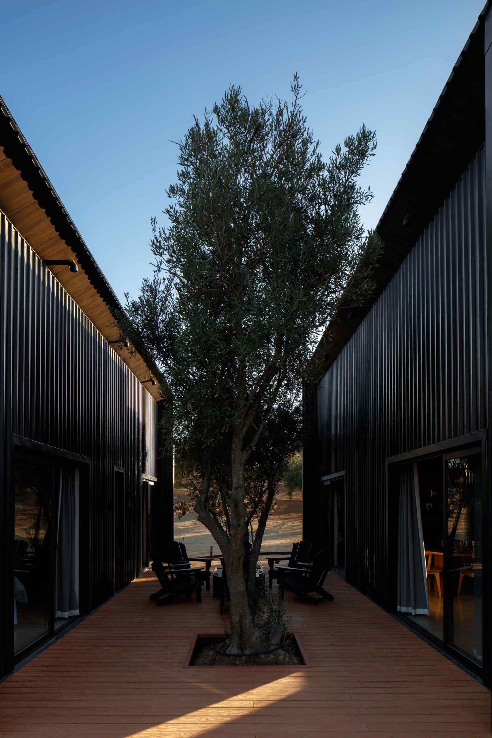 Explore the minimalist architecture of Serentha Cabin by ORTO STUDIO in Baja California, Mexico. Dark corrugated metal exteriors, sloping roofs, warm exterior lighting, gravel pathways, and olive trees create a modern rural cabin with an industrial edge.
